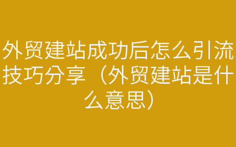 外贸建站成功后怎么引流技巧分享（外贸建站是什么意思）